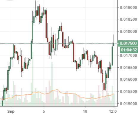 Markets Update: Ethereum Leads Strong Altcoin Rally