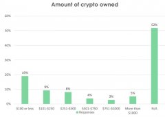 美国顾客加密查询：差不多50％的加密货目自身