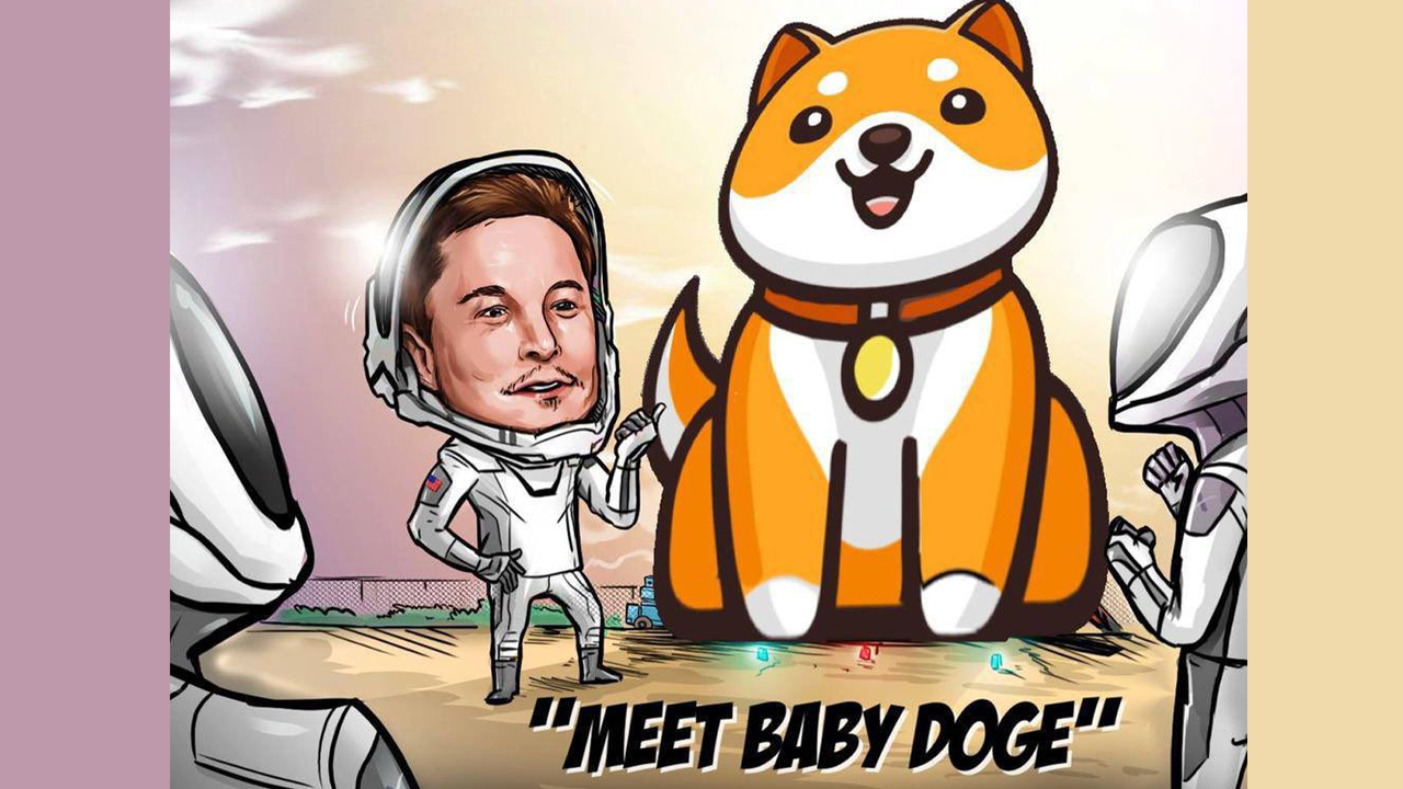 248% Weekly Gains — Baby Doge Coin Continues to Rally While Most Crypto Asset Markets Slump